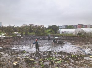 丰润河道鱼塘清淤